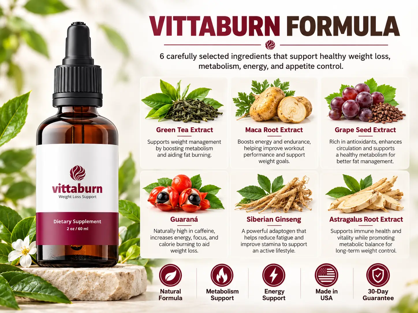 VittaBurn 6 ingredient formula: Green Tea, Maca Root, Grape Seed, Guarana, Siberian Ginseng, Astragalus Root