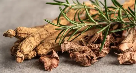 Siberian Ginseng